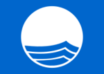 blue-flag-logo