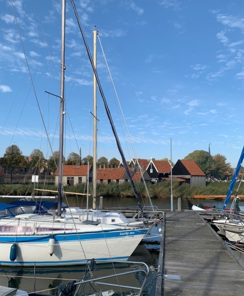 haven-784x950